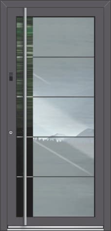 ASS 1700